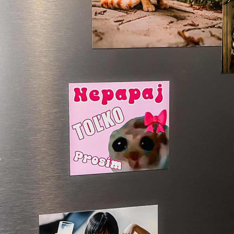 Magnetka s psom a nápisom na chladničke