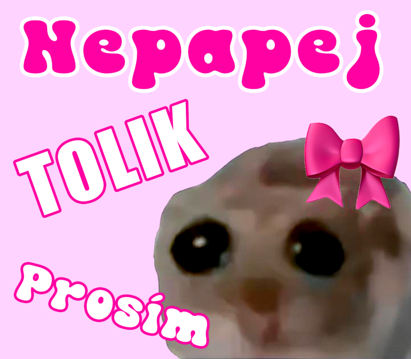 Ružový memový obrázok so sloganom a mačacou hlavou.