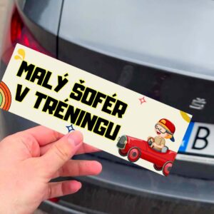 SK: Malý šofér v tréningu