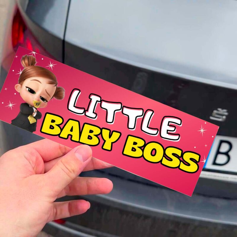 EN_ Little Baby boss