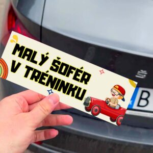 CZ_Malý šofér v tréninku