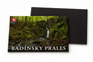 Magnetka - Badínsky prales