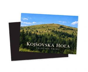 Panoramatický pohľad na oblý vrchol Kojšovej hole so zlatistozelenými lúkami, tmavým lesom v popredí a malou vežou meteorologickej stanice na horizonte pod modrou oblohou.
